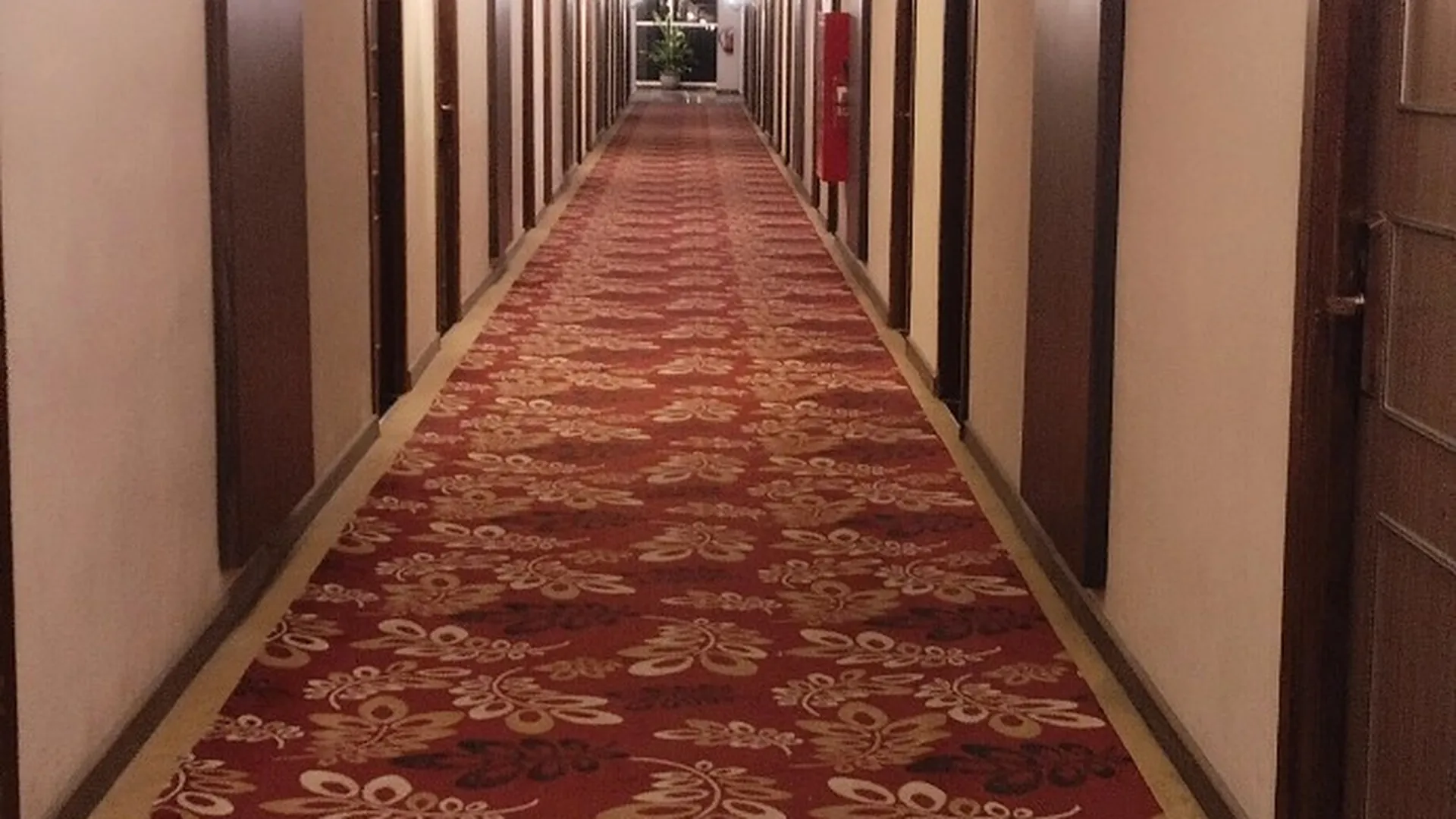 Massage panggilan hotel terapis profesional ready setiap saat